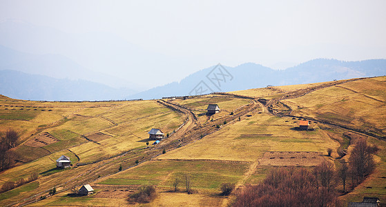 山村 田地和山丘的阳光泉风景森林树木绿色草地山坡晴天旅行乡村农田图片