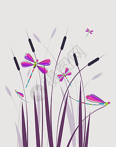 飞行眼镜矢量插图墨水水彩衬套昆虫温泉草地叶子植物绘画艺术插画