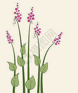 矢量草甸花植物学场地植物群荒野艺术风格插图植物野花季节图片