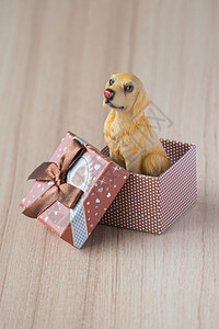 礼物盒里的狗盒子毛皮宠物小狗动物木头猎犬哈巴狗好奇心犬类图片