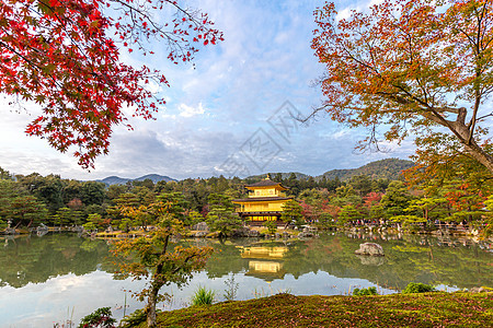 金子宫殿 京角寺花园建筑学神社森林佛陀艺术文化建筑佛教徒精神图片