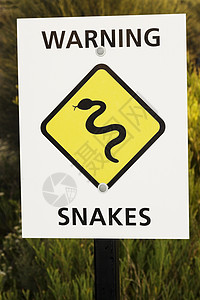 蛇警示符号爬虫擦洗衬套城堡野生动物警告危险路标旅行黄色图片