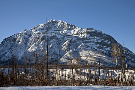 加拿大冬季的洛基山脉山脉岩石风景天空公园图片