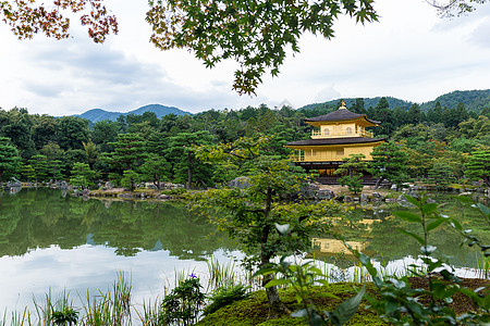 日本京都的九角寺庙遗产金子森林文化池塘宗教反射公园明信片吸引力图片