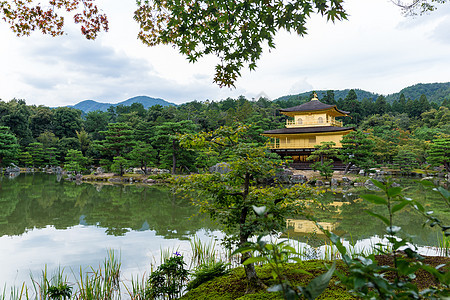 日本京都的九角寺庙遗产金子森林文化池塘宗教反射公园明信片吸引力图片