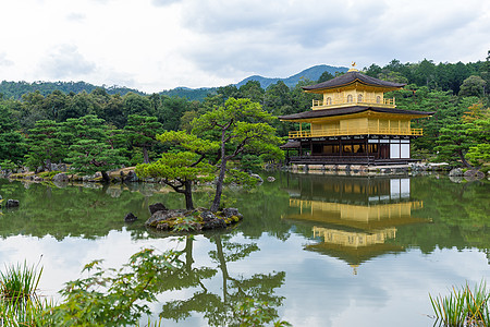 金阁寺金馆图片