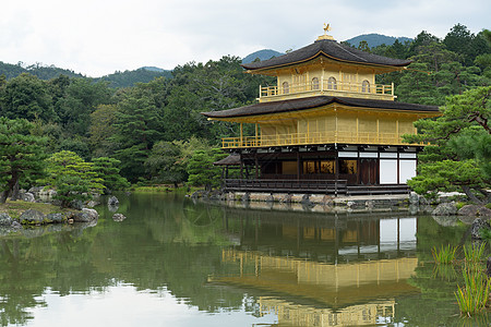 京都的金角寺寺信仰池塘寺庙宗教反射松树建筑学岩石森林佛教徒图片