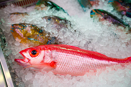 潮湿市场上的新鲜鱼粉色眼睛热带蓝色红色冰镇寿司海鲜鱼片图片