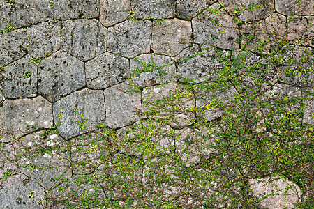 石墙纹理岩壁石匠岩石建筑师树叶场景植物瓦砾护岸历史图片