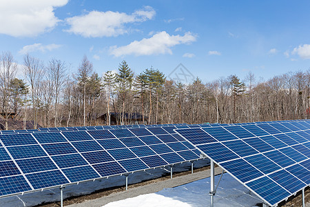 太阳能发电站集电极资源技术建筑生态发电机阳光晴天植物光伏图片