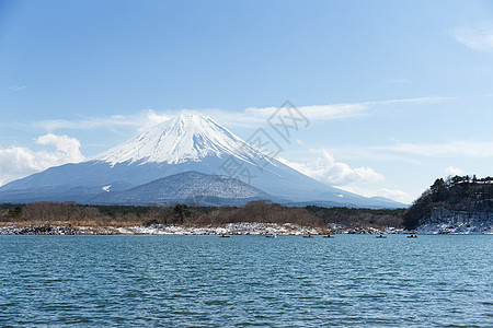 湖湖和藤井图片