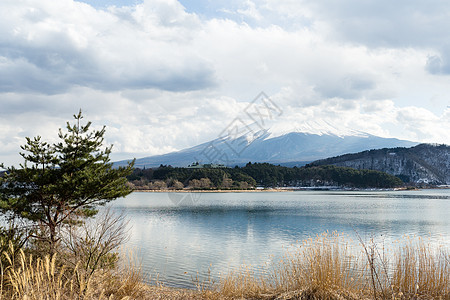 富士山川口湖图片