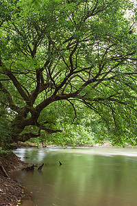 溪水季节荒野树木风景农村池塘岩石公园反射森林图片