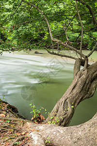 溪水荒野岩石风景农村树木松树池塘森林蓝色公园图片