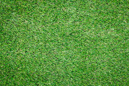 带假草的背景纹理操场生态绿化墙纸植物网球刀片塑料公园场地图片