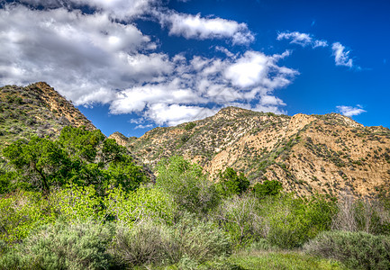 南加利福尼亚州山风景峡谷顶峰绿色旅行远足环境森林叶子天空图片