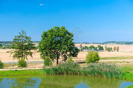 夏季露天田地的湖和乡间风景图片