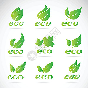 绿叶设计 生态图标集 绿色生态图标徽章 vec阴影植物插图生物品牌活力木头按钮邮票标识图片