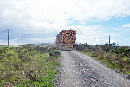 载运装满树干箱的eucalyptus卡车图片