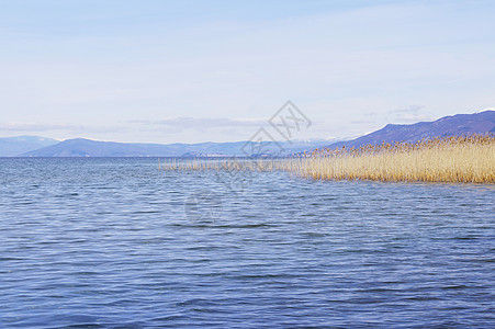 奥赫里德湖支撑海岸线旅行海岸图片