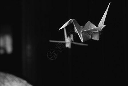深色背景上的折纸鹤文化起重机幸福手工业黑色艺术品手工鸟日艺术折纸背景图片