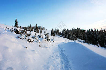 张家口滑雪山中的冬树 满是积雪风景假日云杉假期滑雪升华雪堆木头高山空气背景