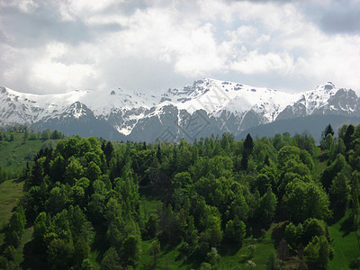 特兰西瓦尼亚 法加拉斯山脉图片