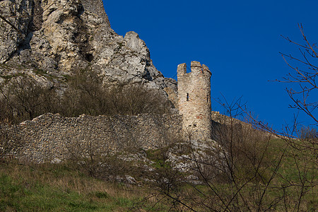 斯洛伐克 德文城堡废墟塔图片