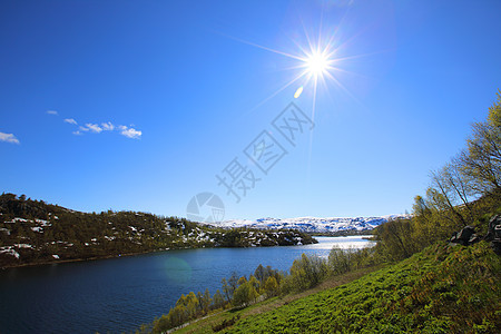 挪威夏季风景绿色松树岩石天空蓝色太阳峡湾森林石头顶峰图片