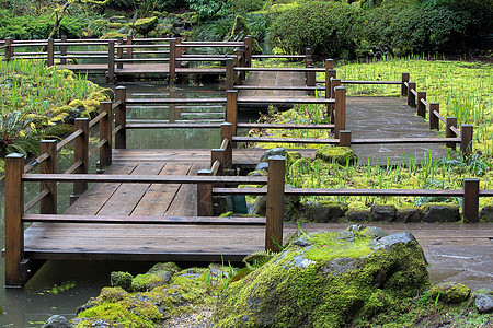 日本花园脚桥季节天桥甲板木头公园园林苔藓岩石建筑学行人图片