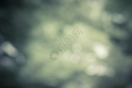 Bokeh 灰色光背景图片