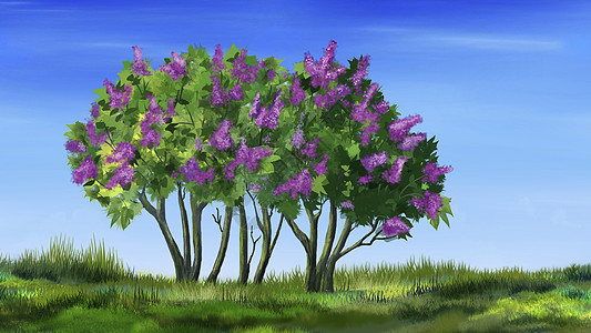 春月花树月下淡紫色昙花高清图片