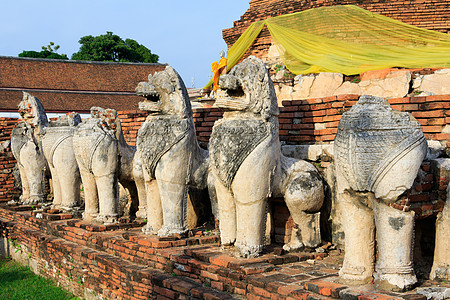 在泰国阿尤塔亚的Thammikarat寺庙 由狮子雕像Cambodia风格环绕着古董斯塔帕文化建筑佛塔宝塔建筑学佛教徒历史性石头图片