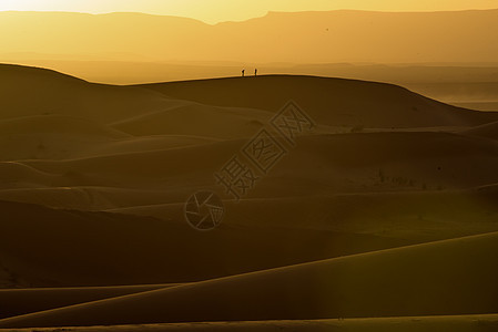 沙丘 摩洛哥 撒哈拉沙漠的日落旅行夫妻沙漠荒野地平线运输牧羊人太阳情调旅游图片