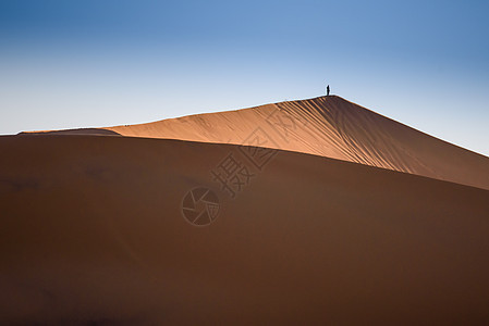 Dunes 摩洛哥 撒哈拉沙漠异国动物旅行夫妻旅游情调晴天天空骆驼太阳图片