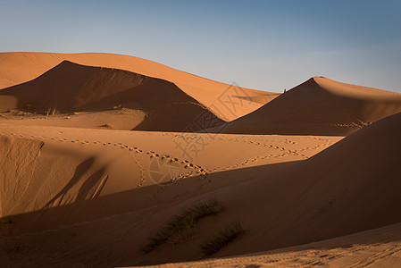 Dunes 摩洛哥 撒哈拉沙漠情调绿洲夫妻运输晴天动物荒野太阳牧羊人旅游图片