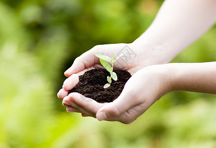 土壤 新生命或园艺概念中的小植物花园脆弱性生态生长生活绿色拇指手指环境叶子图片
