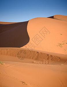 Dunes 摩洛哥 撒哈拉沙漠牧羊人寂寞运输晴天动物天空夫妻沙丘荒野绿洲图片