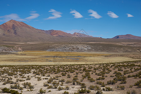 Altiplano 地貌景观图片