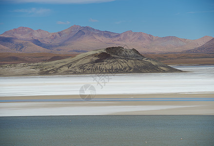 Altiplano上盐湖蓝色国家荒野矿物平底锅盐沼高度天空岩石骆驼图片