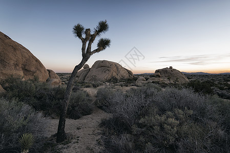 国家公园 加利福尼亚州天气气候地平线环境岩石荒野地球旅行沙漠假期图片