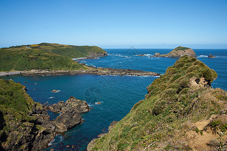 Chilo海岸线企鹅海岸海洋天空悬崖蓝色岩石殖民地图片