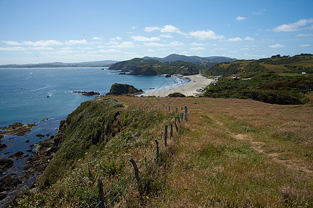 Chilo海岸线企鹅海洋海岸悬崖蓝色天空岩石殖民地图片