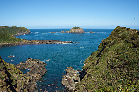 Chilo海岸线海洋蓝色悬崖天空海岸岩石企鹅殖民地图片
