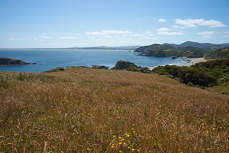 Chilo海岸线企鹅岩石殖民地天空悬崖海洋蓝色海岸图片