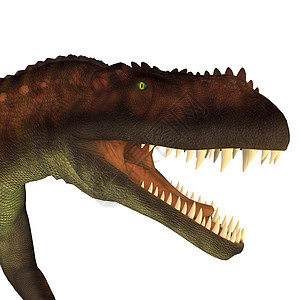 恐龙头部蜥蜴掠食者爬虫主题牙齿古生物学动物爪子古艺术食肉图片