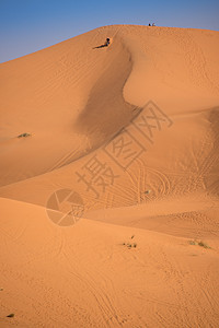 Dunes 摩洛哥 撒哈拉沙漠动物寂寞沙丘异国运输太阳骆驼地平线情调夫妻图片