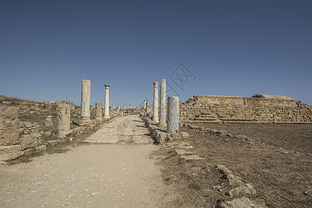 塞浦路斯的Salamis古罗马遗址栅栏大理石考古历史废墟石头绿色历史性花朵法令图片