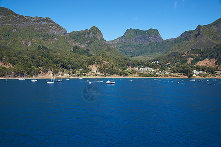 胡安费尔南德斯群岛传奇海洋林地海岸爬坡支撑火山绿色房屋森林图片