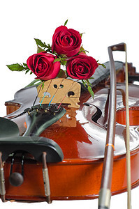 紫罗兰和红玫瑰仪器玫瑰床单字符串雏菊音乐笔记花朵作品木头图片